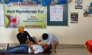 world physiotherapy day
