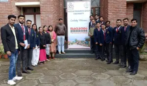 macleod pharmaceuticals 2020